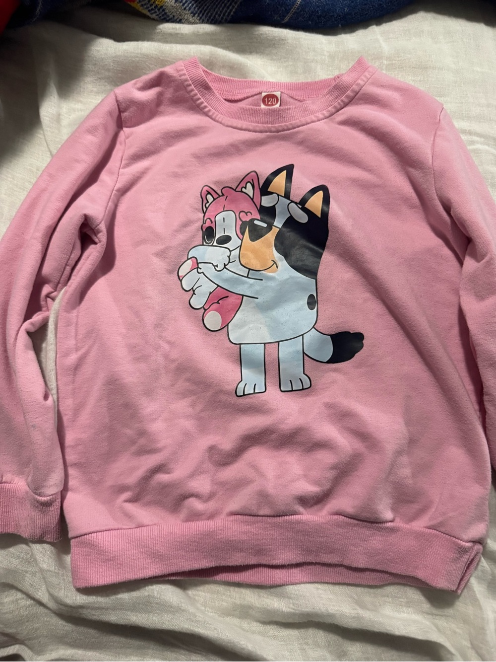 Pink Bluey Cartoon Puppy Graphic Sweatshirt